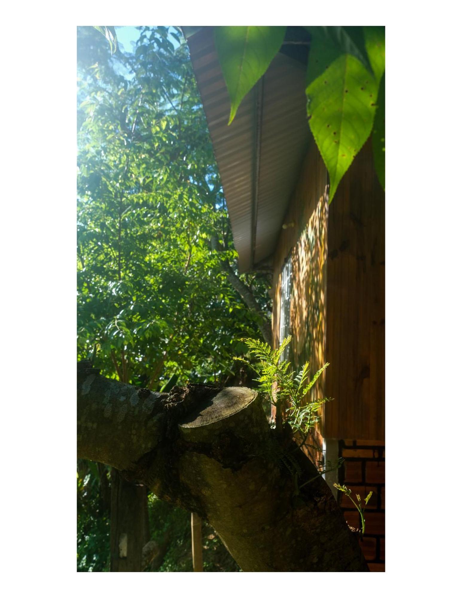 Nha Ben Ho - Da Lat Homestay 外观 照片
