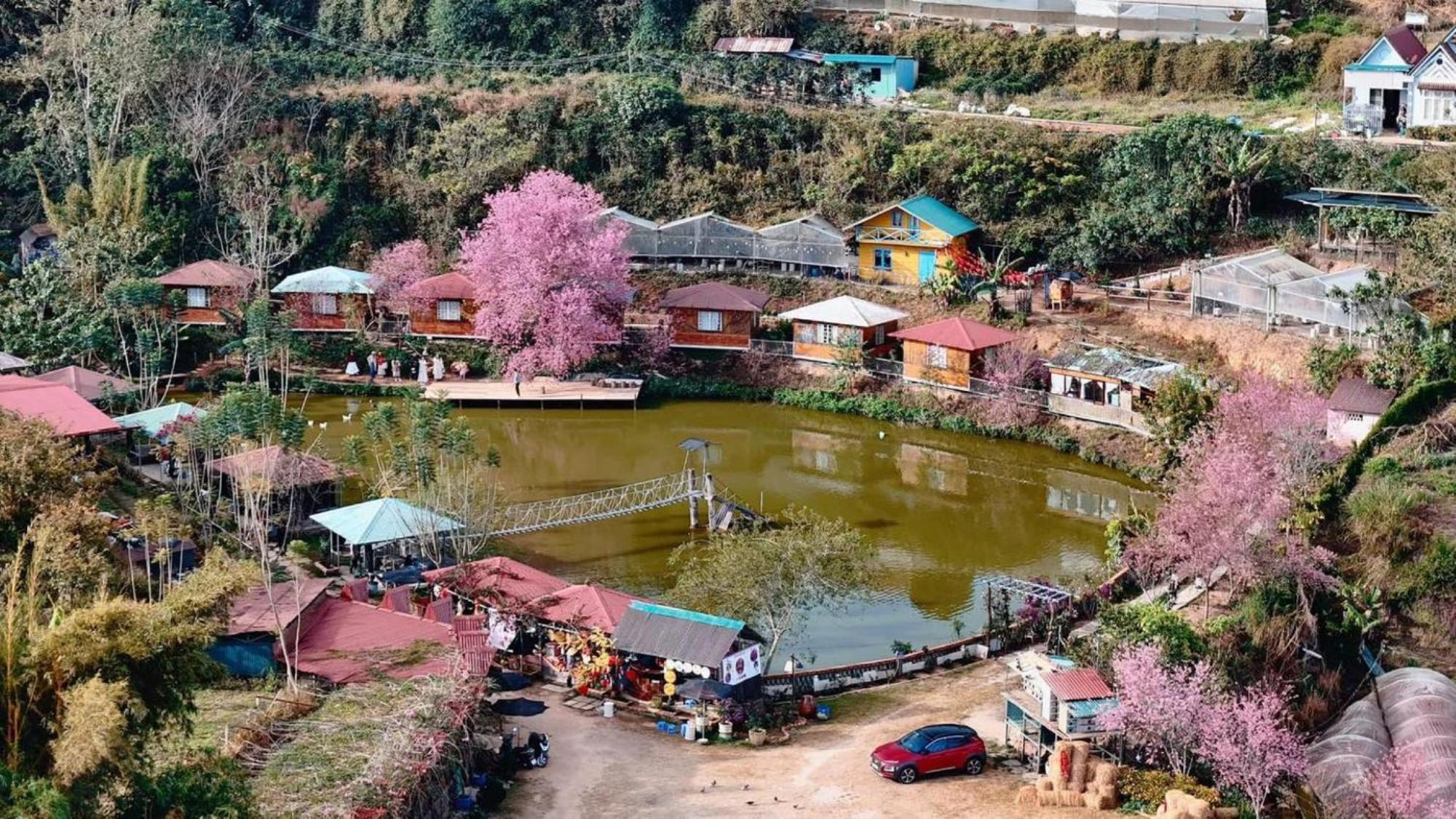 Nha Ben Ho - Da Lat Homestay 外观 照片