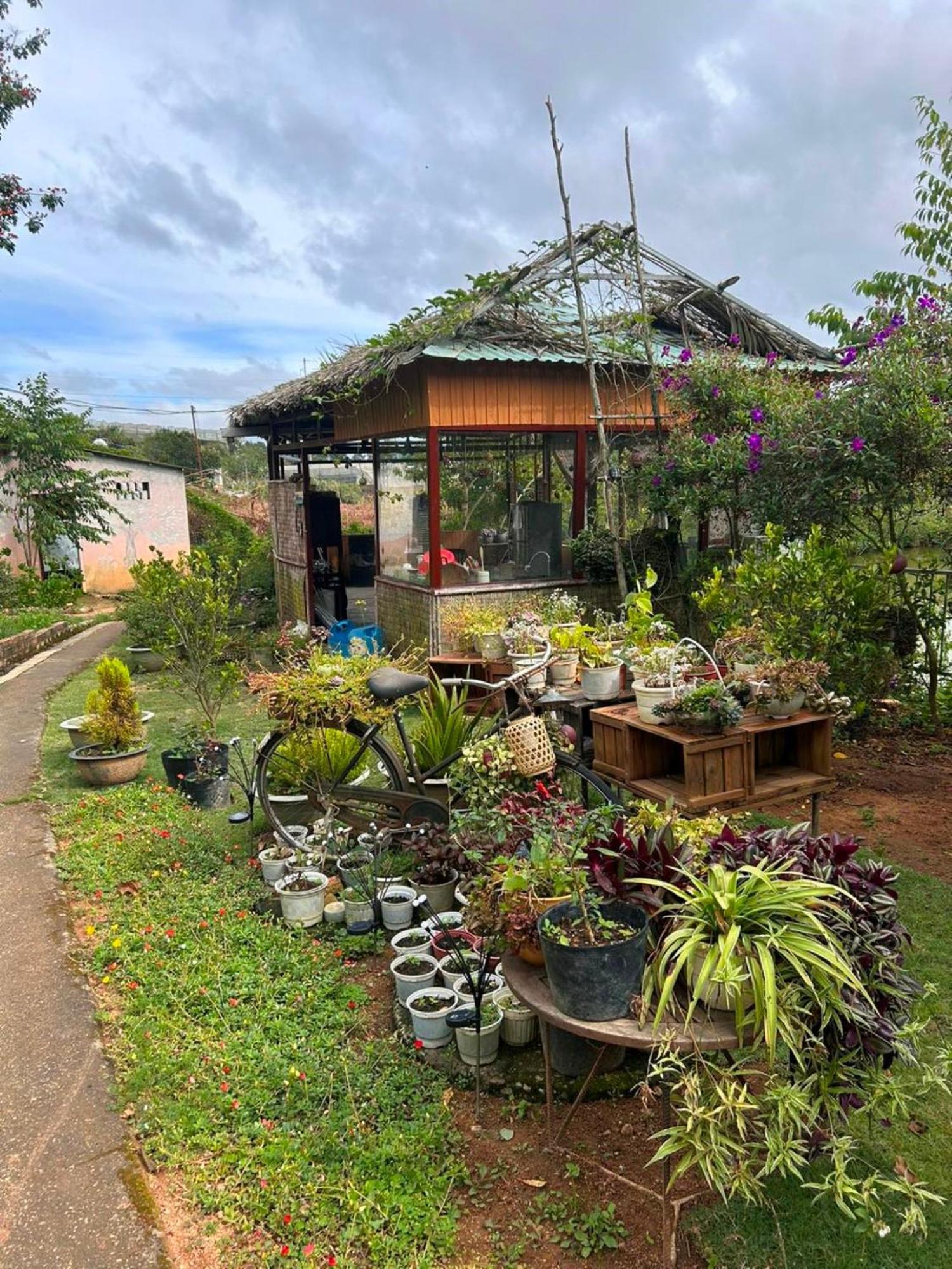 Nha Ben Ho - Da Lat Homestay 外观 照片