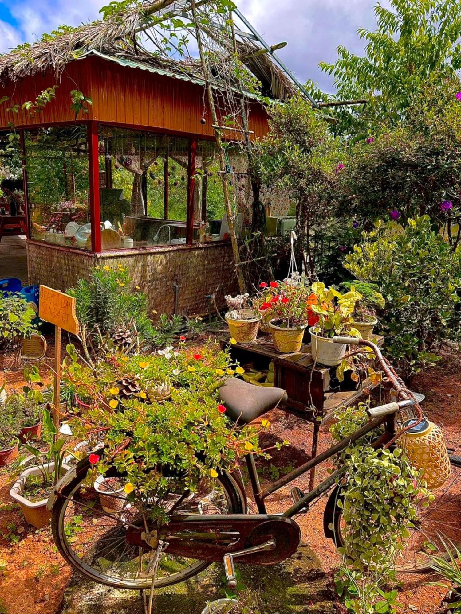 Nha Ben Ho - Da Lat Homestay 外观 照片