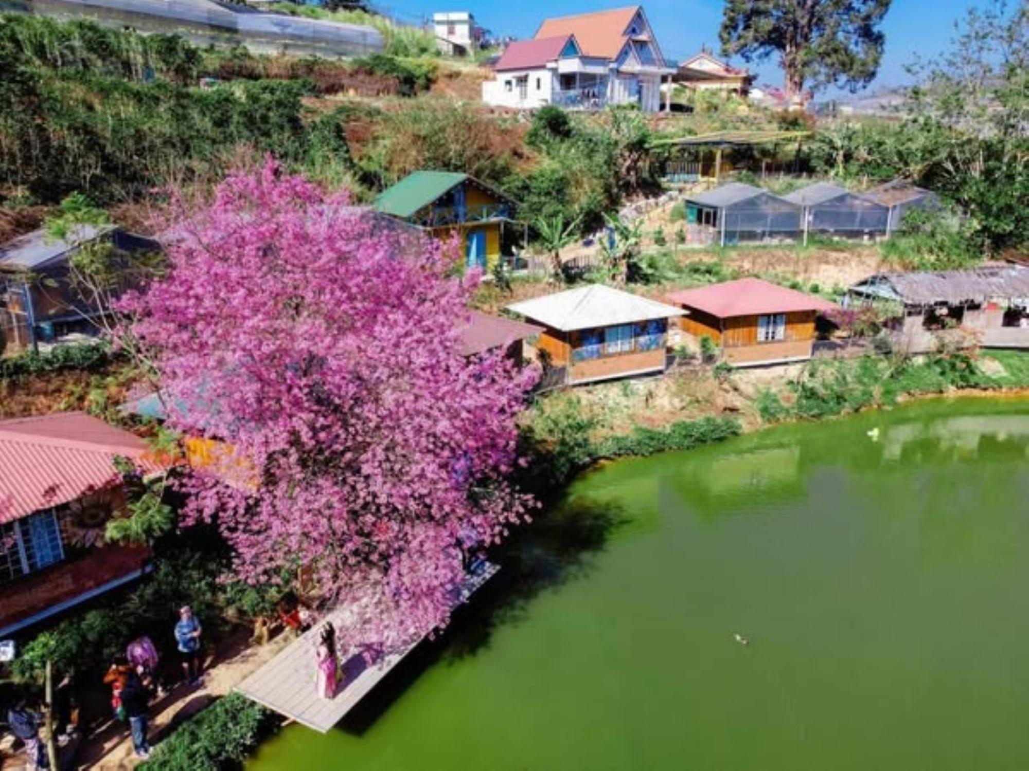 Nha Ben Ho - Da Lat Homestay 外观 照片
