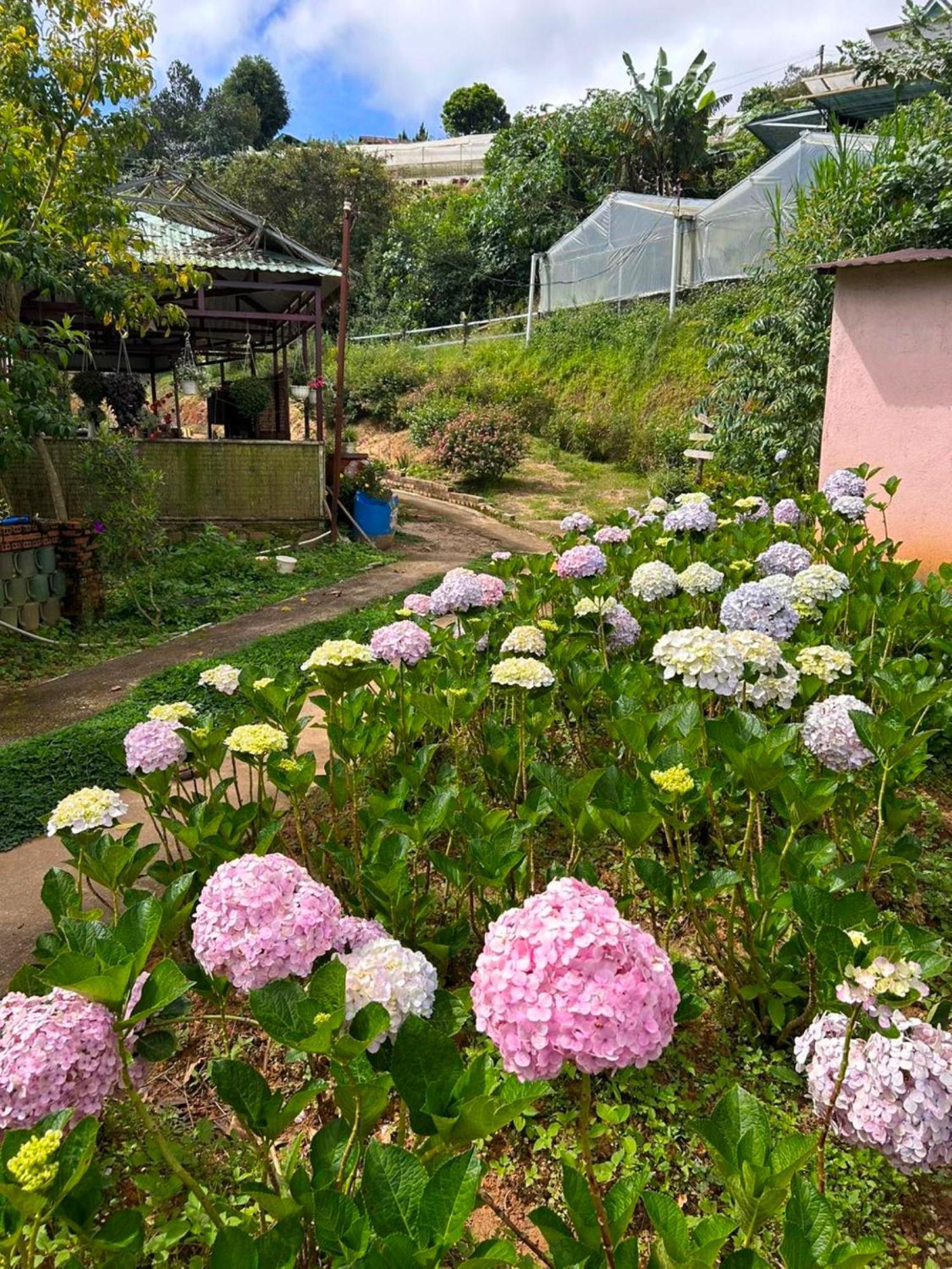 Nha Ben Ho - Da Lat Homestay 外观 照片
