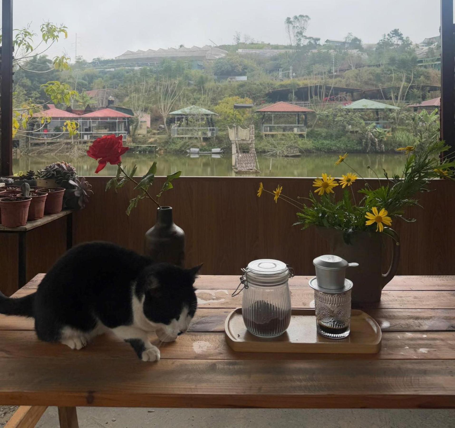 Nha Ben Ho - Da Lat Homestay 外观 照片