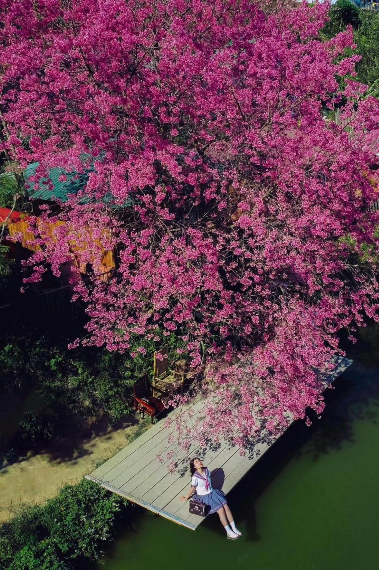 Nha Ben Ho - Da Lat Homestay 外观 照片