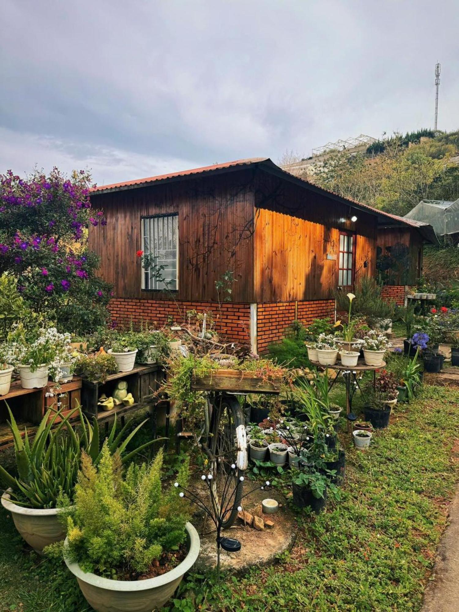 Nha Ben Ho - Da Lat Homestay 外观 照片
