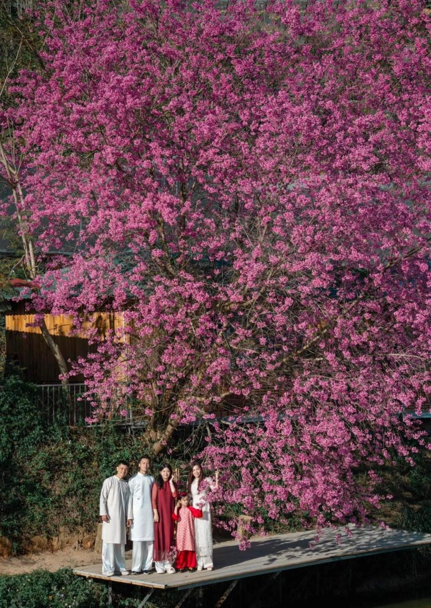 Nha Ben Ho - Da Lat Homestay 外观 照片