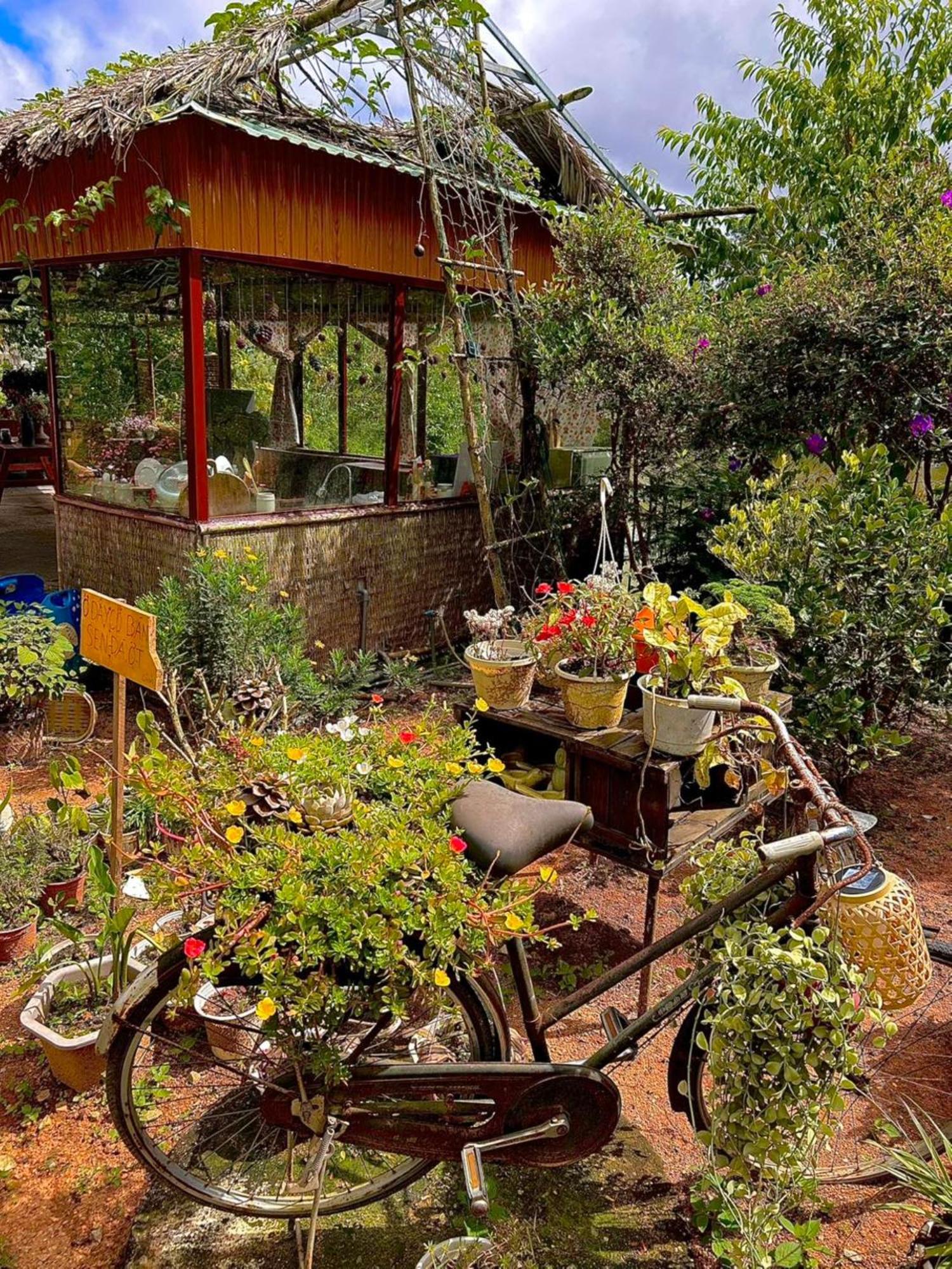 Nha Ben Ho - Da Lat Homestay 外观 照片