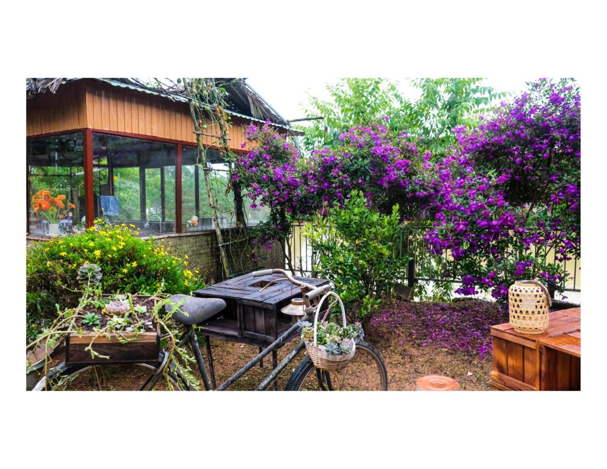 Nha Ben Ho - Da Lat Homestay 外观 照片
